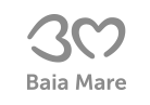 Web design Baia Mare City Hall