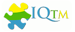 Web design IQ TRADMEDIA
