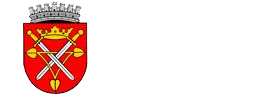 Web design Sibiu City Hall